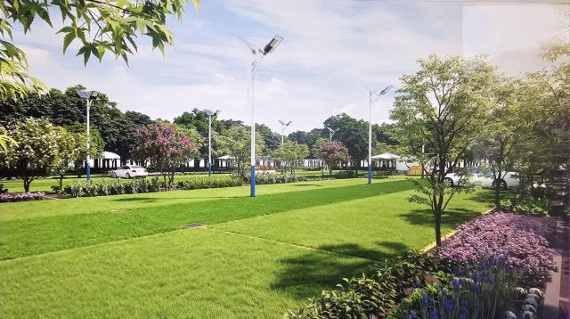 買大園農地買大園大觀路農地買大園農地