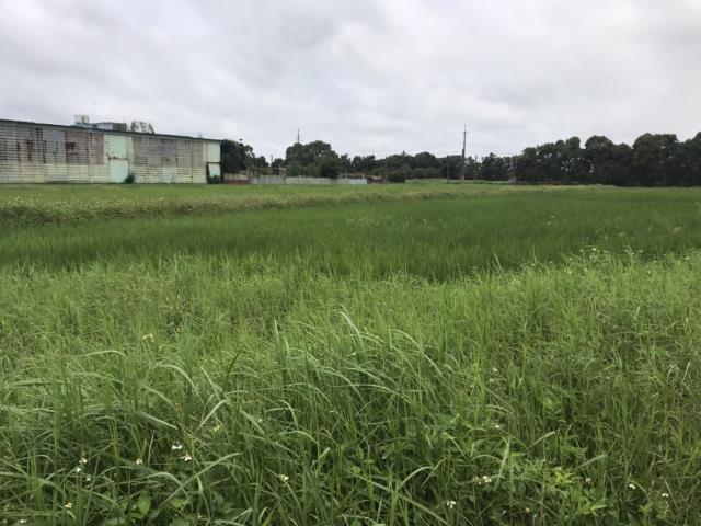 機捷G12站正核心徵收農地