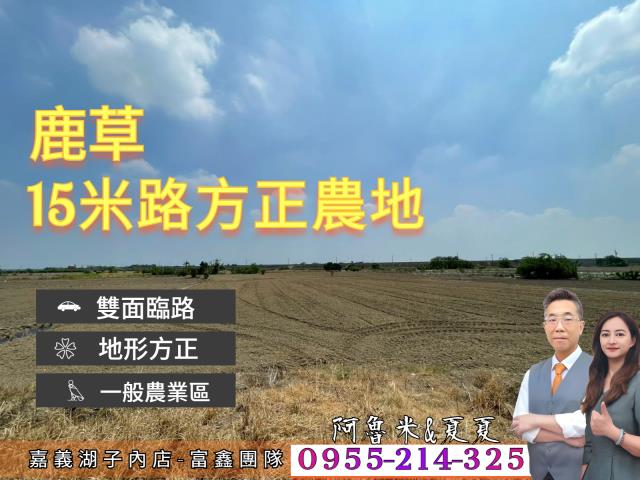 嘉義湖子內阿魯米嘉義建地農地台灣房屋湖子內特許加盟店富鑫團隊