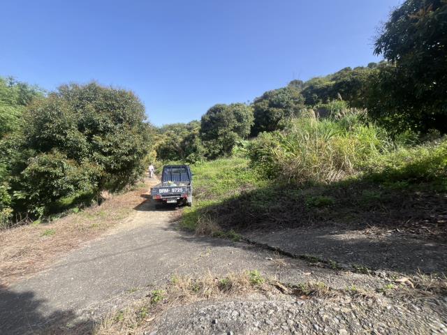 后里買賣后里土地