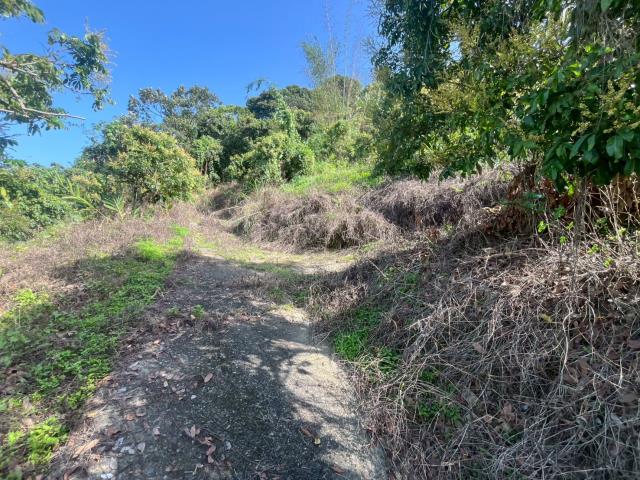 台中太平農地-7