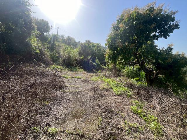 台中太平農地-8