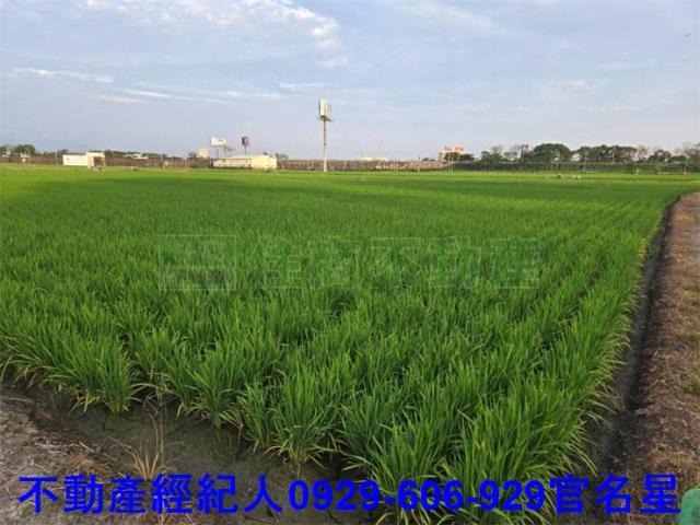 嘉義西區農地-3