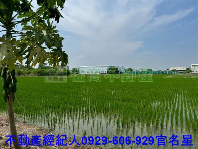 嘉義東區農地-6