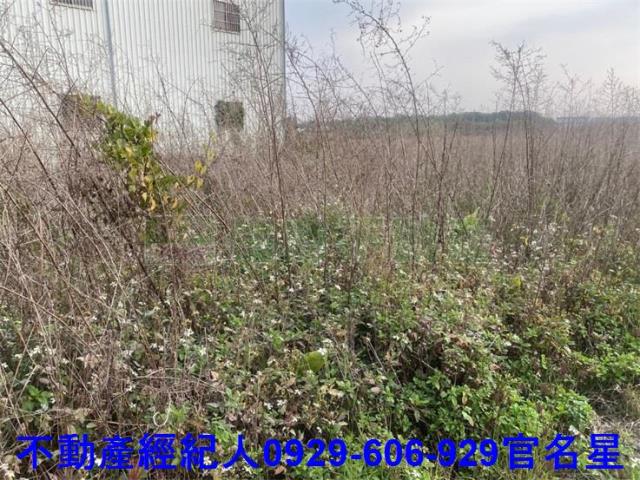 嘉義西區農地-2