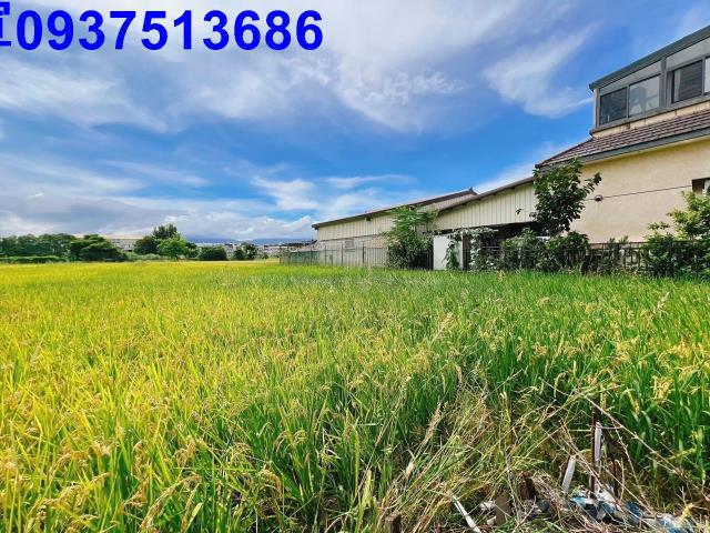 宜蘭壯圍農地-1