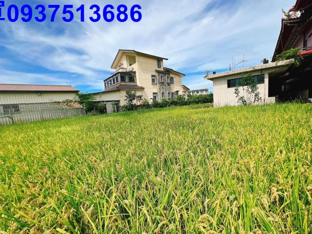 宜蘭壯圍農地-2