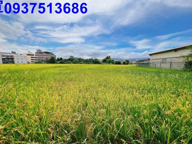 宜蘭壯圍農地-3