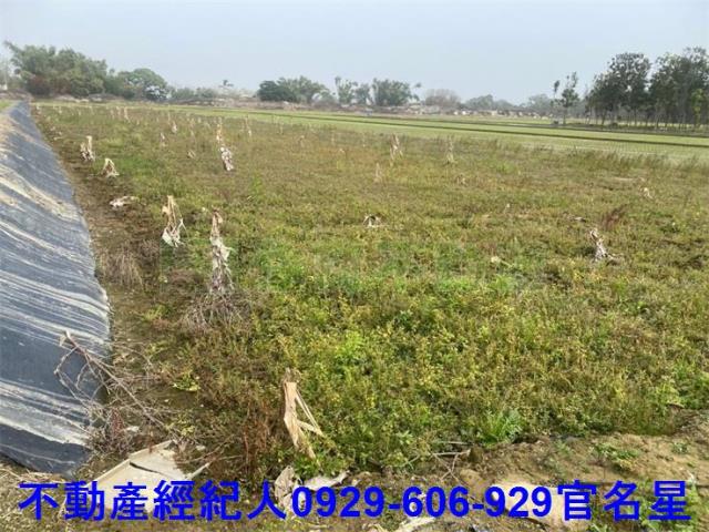 嘉義西區農地-5