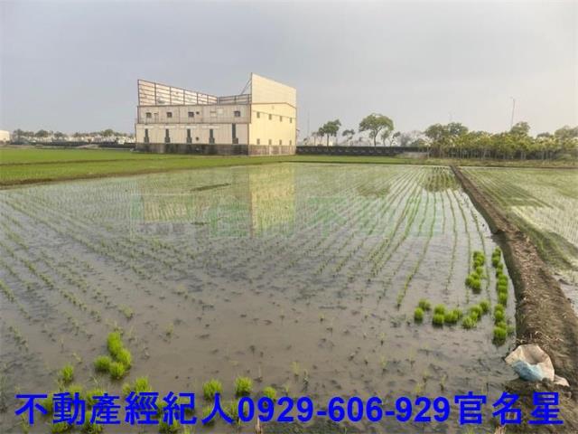 嘉義西區農地-3
