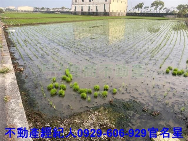 嘉義西區農地-4