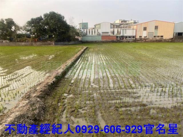 嘉義西區農地-1
