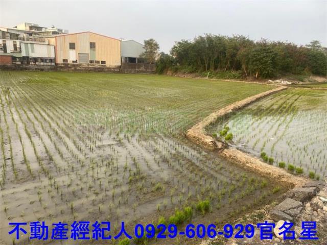嘉義西區農地-3