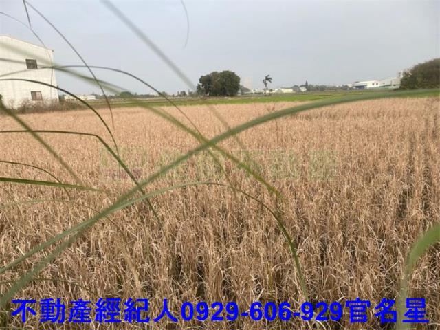 北港路區段徵收重劃