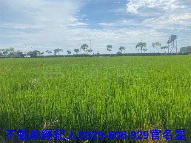 嘉義阿魯米建地農地買賣台灣房屋嘉義湖子內店富鑫團隊呂昆佩