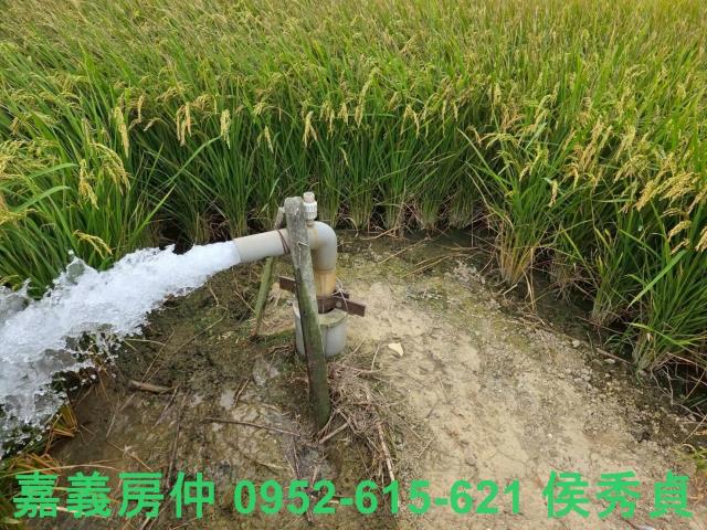 嘉義水上農地-3