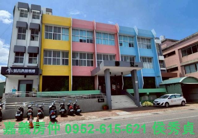 嘉義水上農地-5