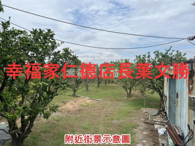 台南麻豆農地-13