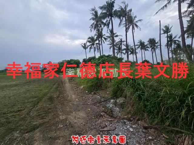 台南仁德農地-5