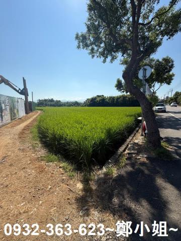 八德農地-5