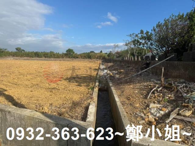 楊梅農地-8
