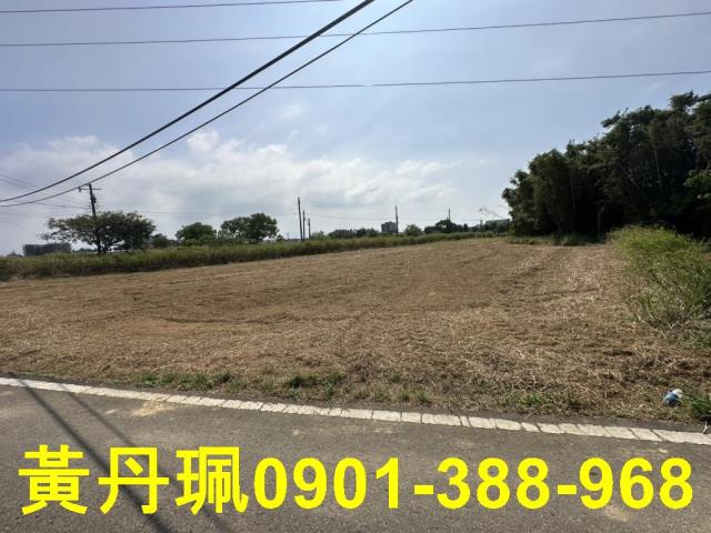 大園農地-3