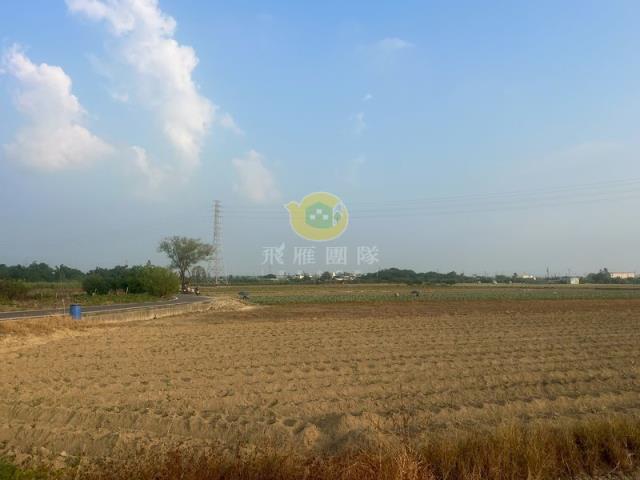 台南農地-4