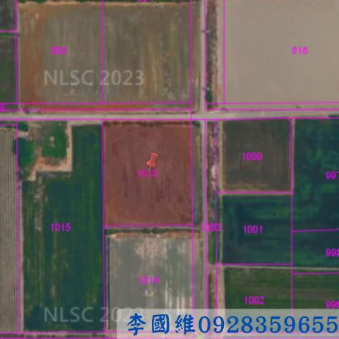 彰化芳苑法拍農地-2