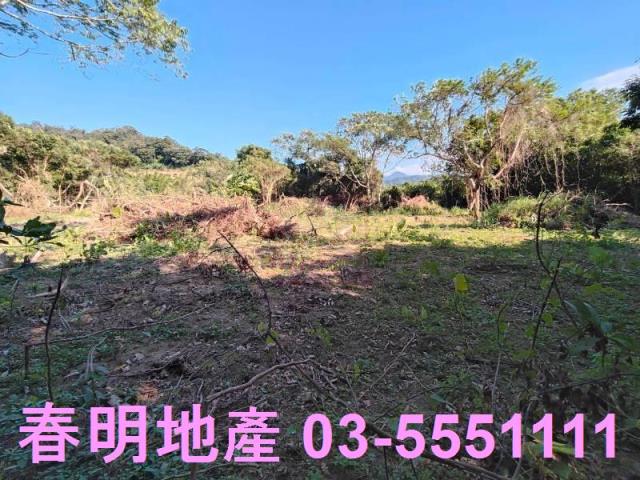 新竹關西農地-2