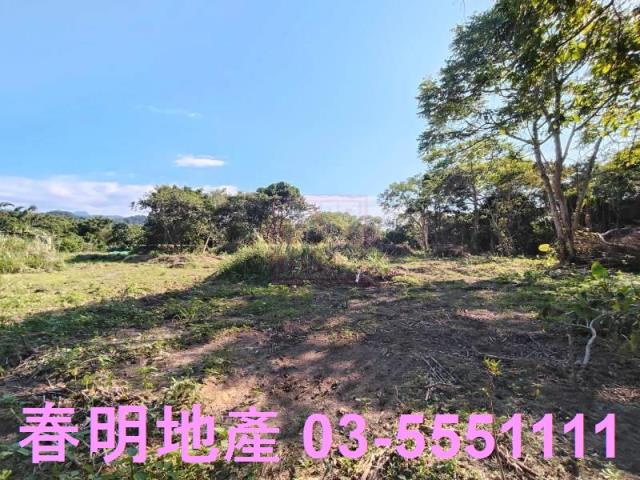 新竹關西農地-3