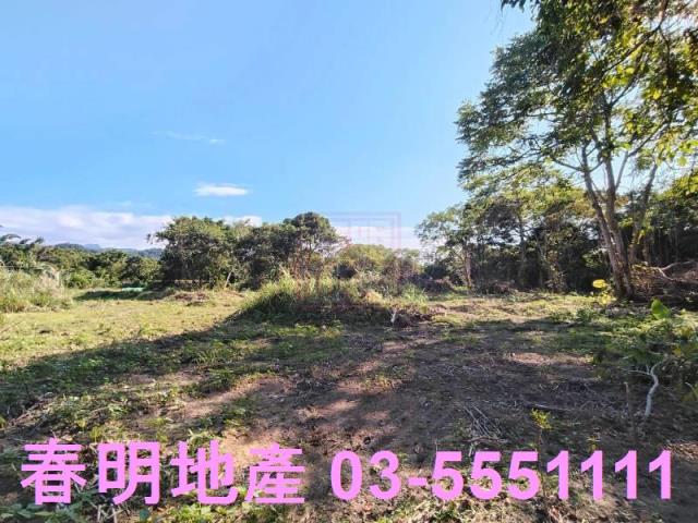 新竹關西農地-4