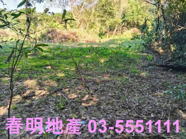 新竹關西農地-8