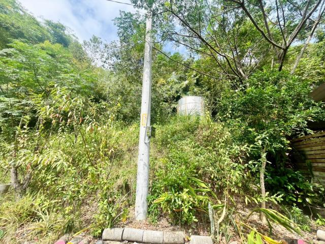 南投中寮農地-10