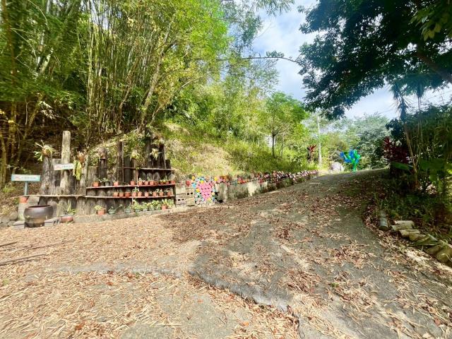 南投中寮農地-11