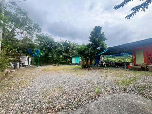 集集中集路4分柳丁園