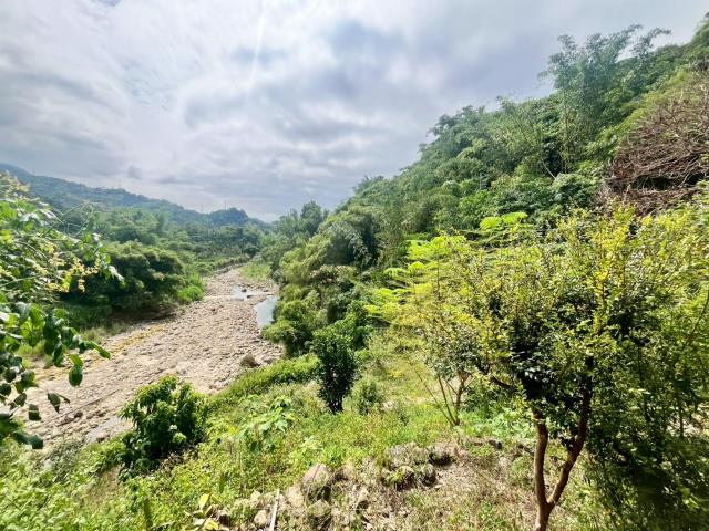 南投中寮農地-7