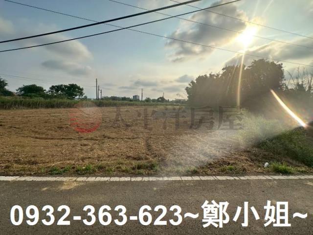 桃園大園農地-12