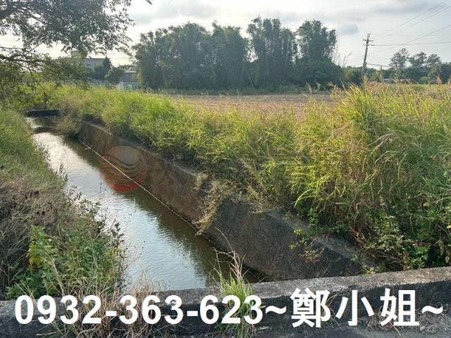 桃園大園農地-1