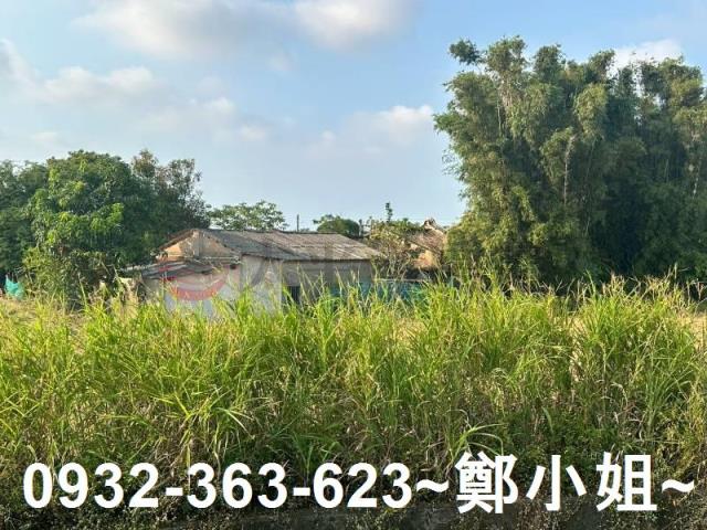 桃園大園農地-3