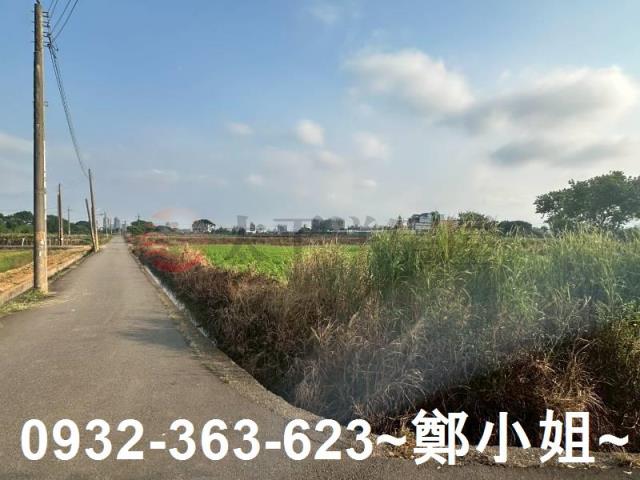 桃園大園農地-4