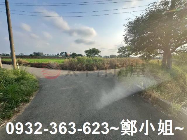 桃園大園農地-5