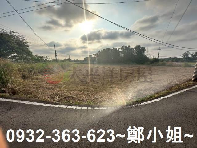 桃園大園農地-7