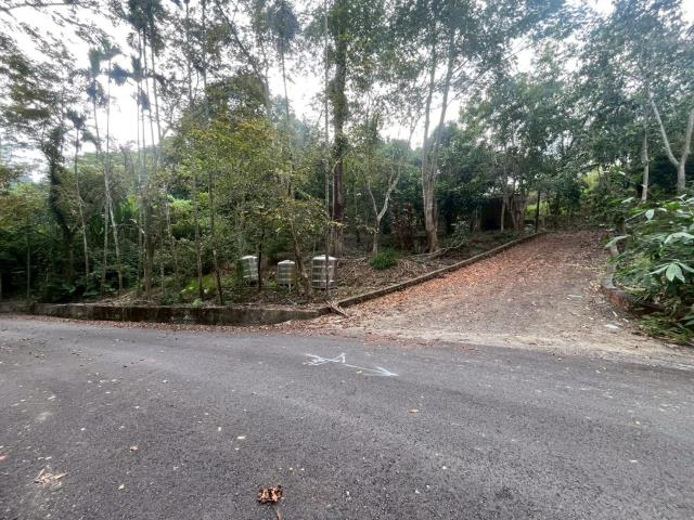 中寮福山巷15甲山坡地