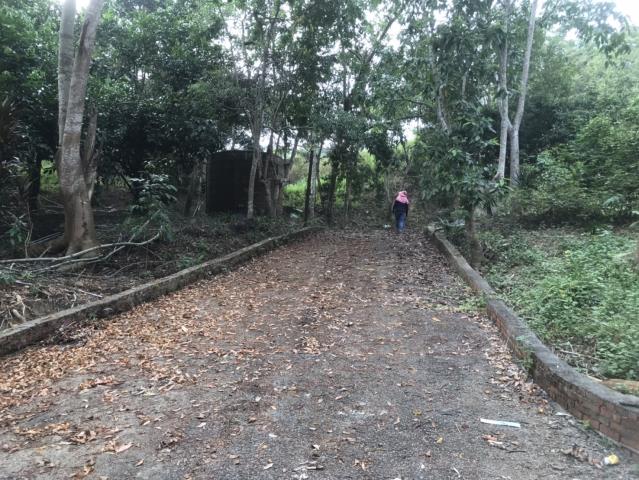 南投鹿谷農地-12