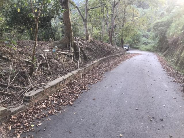 南投鹿谷農地-8