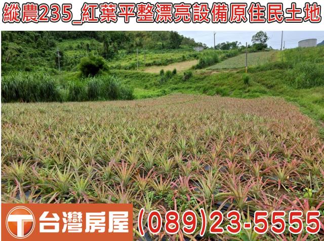 延平農地-5