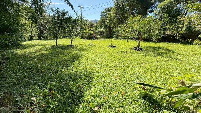 新竹農地新竹山坡地新竹休閒地新竹景觀地小坪數農地露