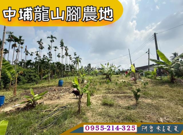 大華公路鄉公所旁農地2