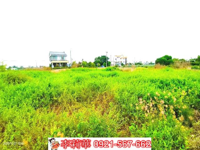 西港農地-9