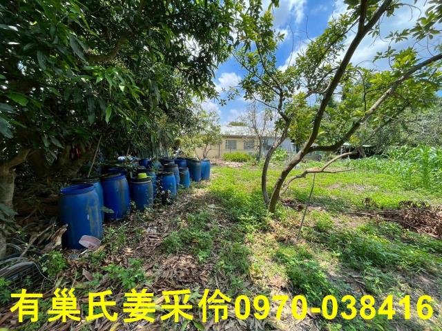 嘉義東區農地-1